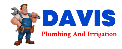 Trusted plumber in JUNCTION